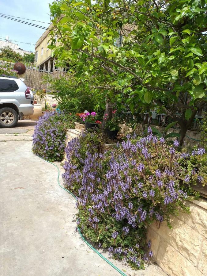 Valentine House Apartment Deir Hanna Exterior photo